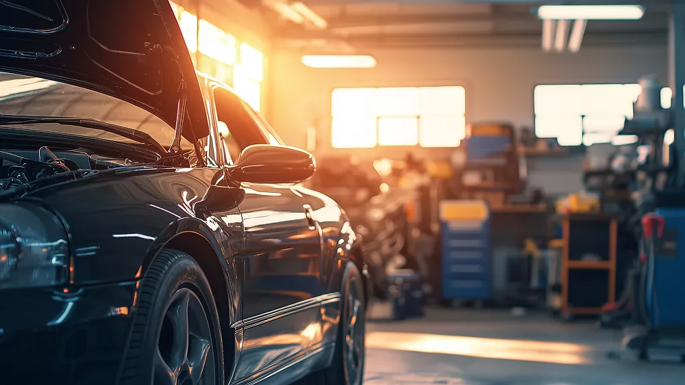 Professional Services